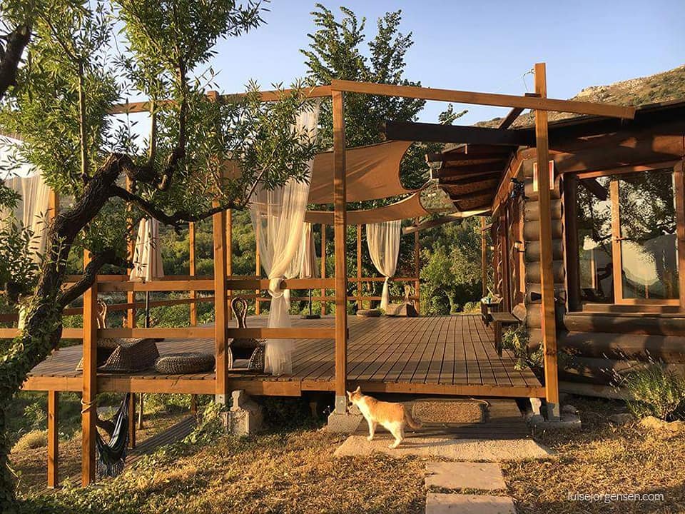 37213209_10157671654185299_7214179184665427968_n_0